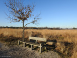 Engbertsdijksvenen